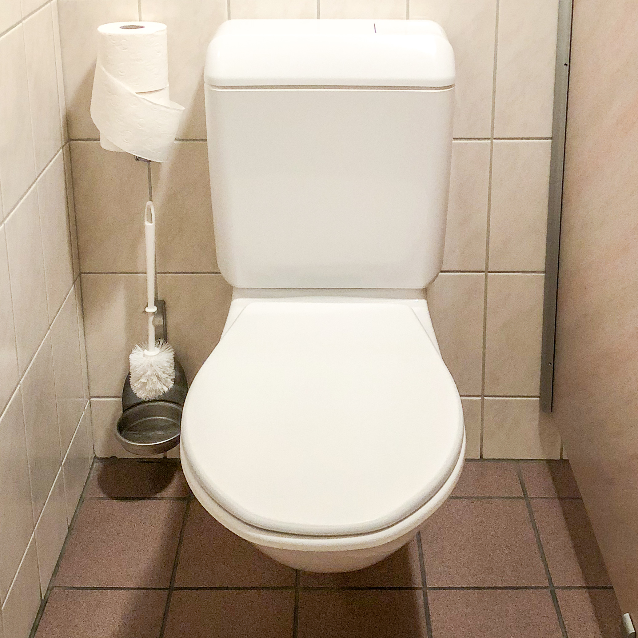 Swiss Toilet Review